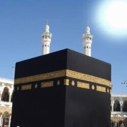 الأرجنتين تؤكد تسجيل أول إصابتين بجدري القرود