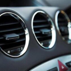 موسم جدة يجذب زوار حديقة الأمير ماجد بفعاليات “الليلة الهندية” وثقافتها العريقة