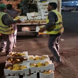 نائب وزير الحج يشهد إعلان نتائج القرعة الإلكترونية لحجاج الداخل