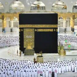 “الصحة”: تسجيل 927 إصابة جديدة بفيروس كورونا.. و 1004 حالة تعافي