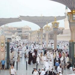 خادم الحرمين الشريفين يبعث رسالة خطية لأمير دولة الكويت