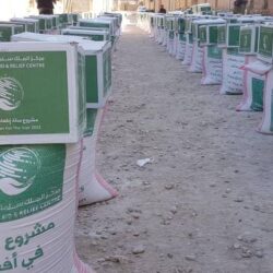 ديوان المظالم يعلن عن التكامل بين منصة معين الرقمية وعدد من الجهات الحكومية رقمياً