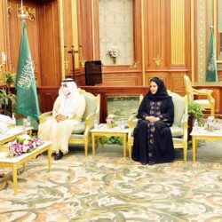 مكافحةُ المخدِّراتِ تحبطُ محاولةَ تهريبِ (67,766) قرصَ إمفيتامين مُخَدِّرًا في الميناء الجاف بمنطقة الرياض