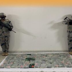 الترخيص لـ 3 شركات لتطوير وتشغيل 15 منصة رقمية حكومية