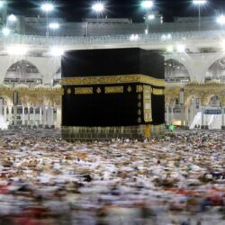 جامعة الملك سعود تدشن أضخم بوابة على مستوى الجامعات السعودية للخريجين