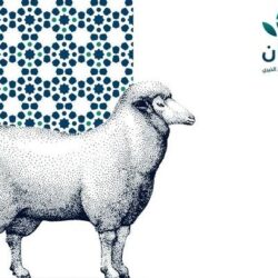 “الحبوب” تعلن صرف مستحقات الدفعة الخامسة لمزارعي القمح المحلي