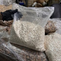 صندوق التنمية الزراعية يحصل على شهادتي الآيزو في مجال نظام إدارة وجودة الخدمات التقنية