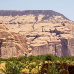 “البيئة” تستعرض المؤشرات الاستثمارية لتأسيس شركة تسويق المنتجات الزراعية السعودية