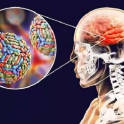 وزارة الصناعة تُنَظِّمُ زيارةً حقليةً للشركات المؤهلة للمنافسة في مجمع الحجر الجيري بحُفَيْرَةِ نساح