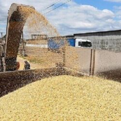 وزير الخارجية يجري اتصالًا هاتفيًا بوزير خارجية ليتوانيا