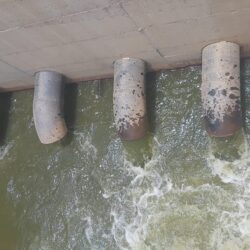 جمعية الأيتام بحلي تنفذ مبادرة “شكرًا سندي “