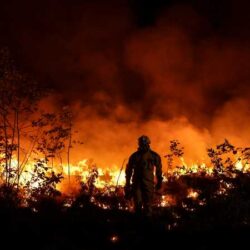 كلية الملك فهد الأمنية تبدأ إجراءات القبول المبدئي لطالبي الالتحاق بدورة تأهيل الضباط الجامعيين الـ(52)