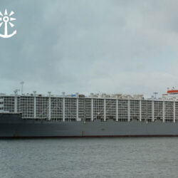 “روبوت توجيهي” داخل المسجد الحرام بـ (11) لغةً للرد على الحجاج في المسائل الشرعية