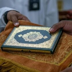 وزارة النقل تُعلن جاهزية طرقها بالمدينة المنورة لاستقبال ضيوف الرحمن بعد أداء مناسكهم