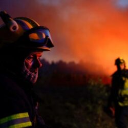 القيادة توجه برقية شكر لوزير الداخلية بمناسبة تهنئتها بعيد الأضحى المبارك وبنجاح موسم الحج