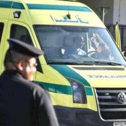 مسالخ الباحة تستقبل أكثر من 7800 أضحية خلال أيام عيد الأضحى المبارك