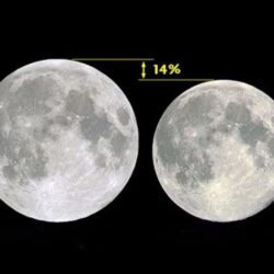 الكشافة يرشدون 92 ألف حاجًا تائهًا خلال موسم حج هذا العام