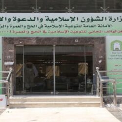 النقابة العامة للسيارات تعلن نجاح التجربة الميدانية للنقل الترددي