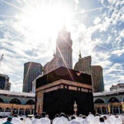 الحج والعمرة : طبقنا نظام إدارة التفويج الذكي خلال موسم حج هذا العام