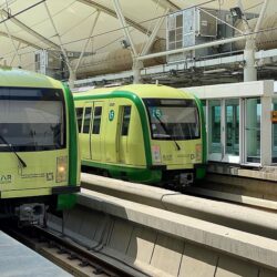 تفاوتٌ في أسعار الأضاحي بسوق الماشية بالمدينة المنورة