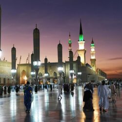 الأفواج الأمنية في عسير تقبض على شخص بحوزته (20) كيلوجرامًا من مادة الحشيش المخدر