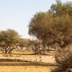 وزارةُ النَّقلِ والخِدْمَاتِ اللوجستية تواصلُ تنفيذَ مشروع الدائري الثاني بجدة