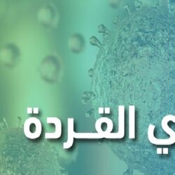 المدينة المنورة تستقبل أكثر من ٤٠ ألف حاج بعد أدائهم فريضة الحج