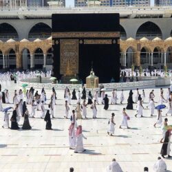 “حماية المستهلك” تعلن اتساع مبادرة صديق المستهلك لتضم أكثر من 500 فرع