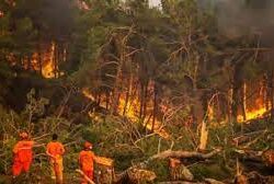 فيسبوك تختبر طريقة تسمح بعمل 5 ملفات شخصية مرتبطة بحساب واحد