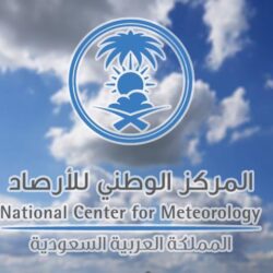 دوريات حرس الحدود والأفواج الأمنية بجازان تحبط محاولات تهريب 31 كيلو جرامًا من الحشيش المخدر