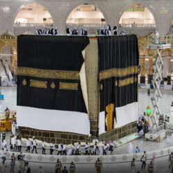 الإحصاء: ارتفاع الصادراتِ السلعيَّة غير البترولية للمملكة خلال شهر مايو 2022م