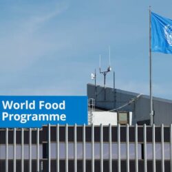 البريد السعودي ناقل لوجستي في مهرجان العسل الدولي الرابع عشر بالباحة