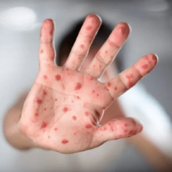 الأسهم الأمريكية تغلق مستقرة وسط ترقب إعلانات النتائج ورفع الفائدة