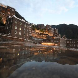 وزارة البيئة تسخر فرقًا طبية بمهرجان ولي العهد للهجن