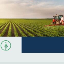 المملكة تُنظم منتدى العالم القادم بمشاركة قادة وخبراء قطاع الرياضات الإلكترونية