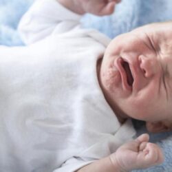 شرطة جازان تقبض على (14) مخالفًا لنظام أمن الحدود لتقدمهم لإحدى مؤسسات نقل المعتمرين بمستندات مزورة