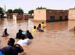 نادي سباقات الخيل ينظم الحفل الـ (29) في موسم سباقات الطائف