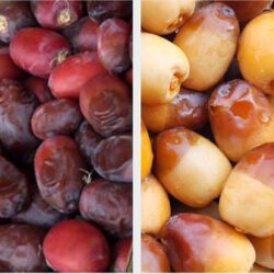 “النقل” تواصل تنفيذ مشروع ازدواج طريق “الخرمة- رنية- بيشة”