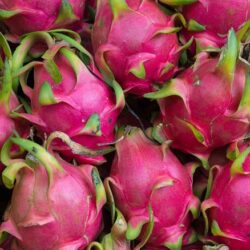 “الموارد البشرية” توضح آلية إضافة زوجة المواطن غير السعودية إلى الضمان الاجتماعي