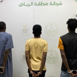 ميناء الملك عبدالله يحقق نمواً في عمليات شحن الحاويات خلال النصف الأول من 2022