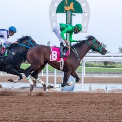 الأمم المتحدة تعلن وفاة 22 شخصًا وتأثر 340 ألفا آخرين جراء الفيضانات في تشاد