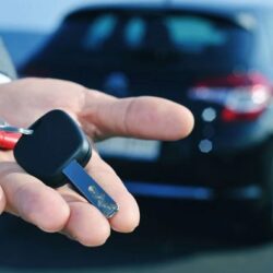 صدور بيان مشترك في ختام زيارة رئيس جمهورية أوزبكستان للمملكة