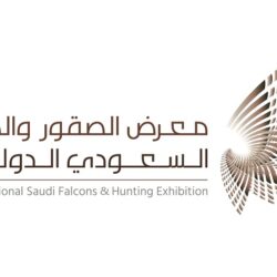 هيئة فنون العمارة والتصميم تدعو المعماريين للمشاركة في بينالي البندقية 2023