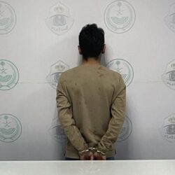 “الكهرباء” تطلق خدمة إيصال التيار لشواحن السيارات الكهربائية