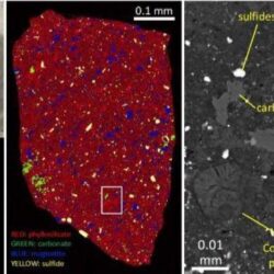 إصدار 1211 سجلًّا تجاريًّا بمعدل 85 سجلًّا شهريًّا في صناعة اللوجستيات
