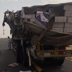 نائب وزير الموارد البشرية يعقدُ اجتماعًا مع وزيرة العمل والإصلاح الإداري في السودان