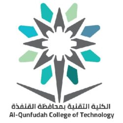 هيئة الحكومة الرقمية تعلن نتائج مؤشر نضج التجربة الرقمية للمنصات الحكومية