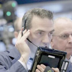 دراسة: الحياة البرية معرضة للخطر بدرجة تفوق تصورات العلماء