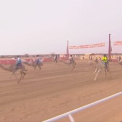 أمير القصيم يوجه بإطلاق “كرنفال بريدة للتمور” اعتبارًا من العام القادم