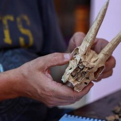 الصحة : تسجيل 189 إصابة جديدة بفيروس كورونا .. و 295 حالة تعافي